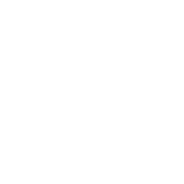 CS2 Senior